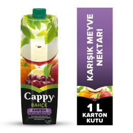 Cappy 1 lt x 12 Adet Karışık Meyve Nektarı