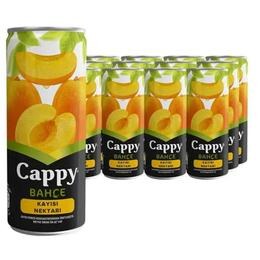 Cappy 12×250 ml Kayısı Aromalı Meyve Suyu