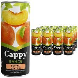 Cappy 12×250 ml Şeftali Nektar Meyve Suyu