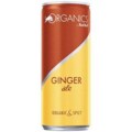 Red Bull 250 ml Organics By Ginger Ale Enerji İçecek