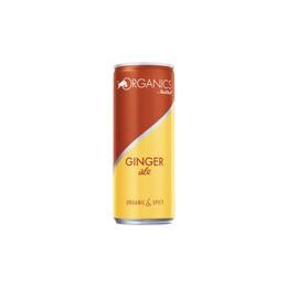 Red Bull 250 ml Organics By Ginger Ale Enerji İçecek